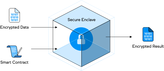 oasis-network-rose-ilustracao-do-enclave-seguro-ou-secure-enclave