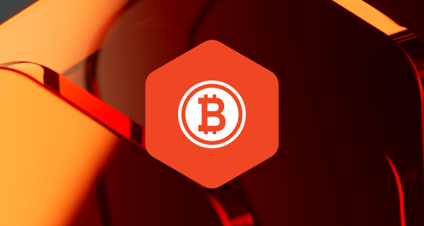 img:guia-completo-bitcoin-cash-logotipo-da-cripto-em-fundo-laranja